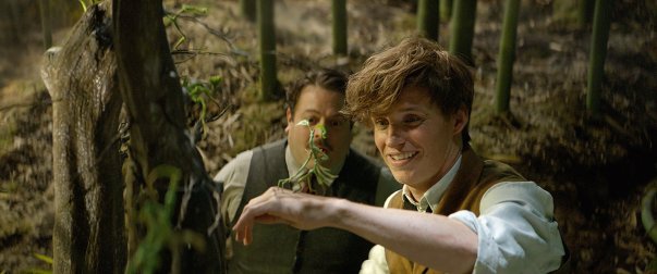 Fantastic Beasts and Where To Find Them Film Review coronawithawolf Bowtruckle Redmayne
